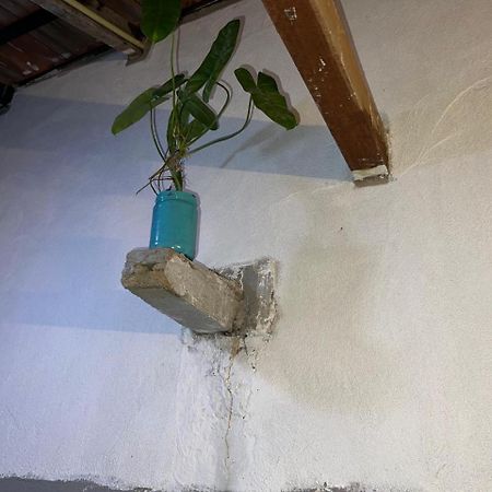 Cactus Arugambay Vandrerhjem Arugam Kudah Eksteriør bilde