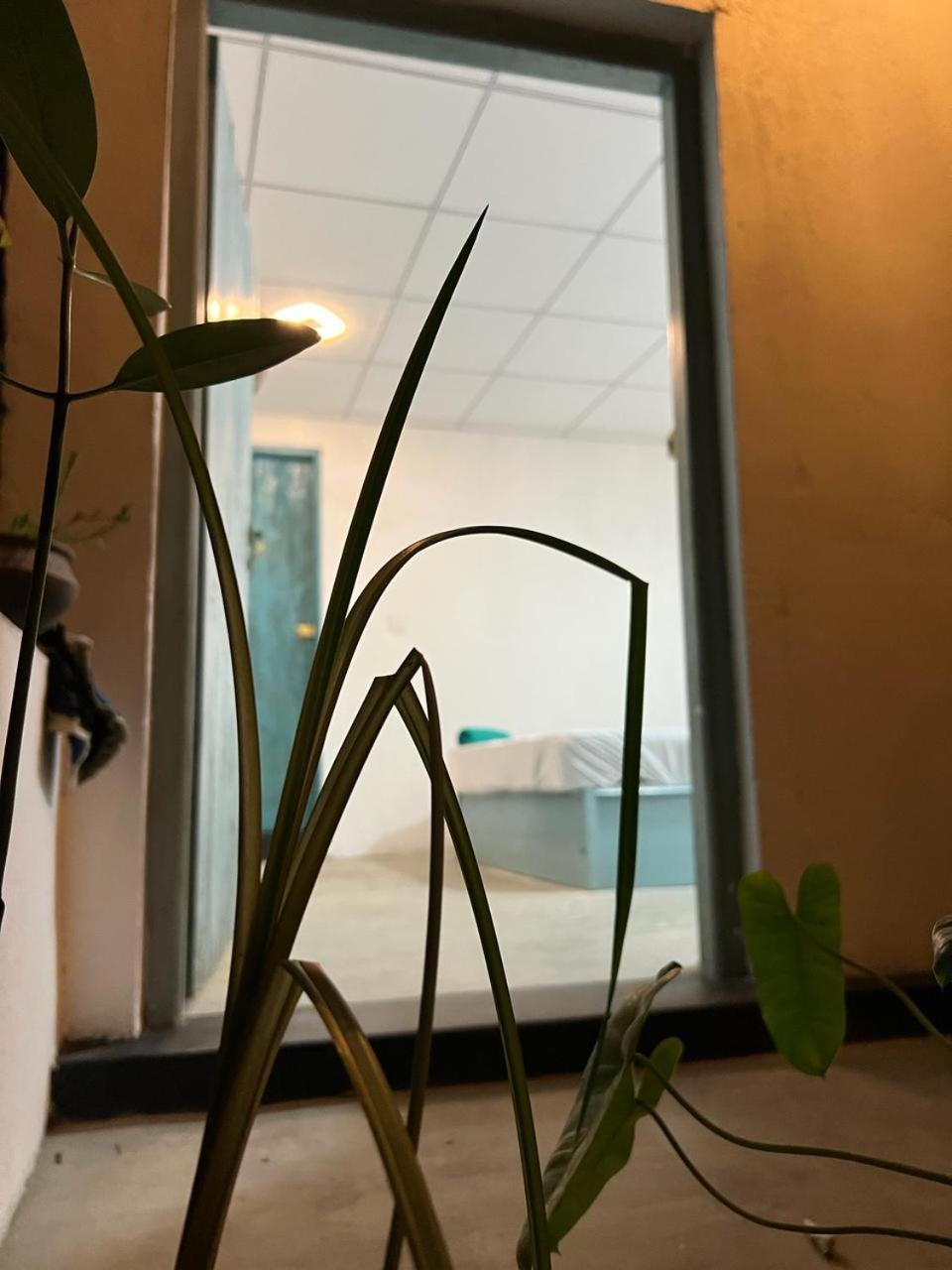 Cactus Arugambay Vandrerhjem Arugam Kudah Eksteriør bilde