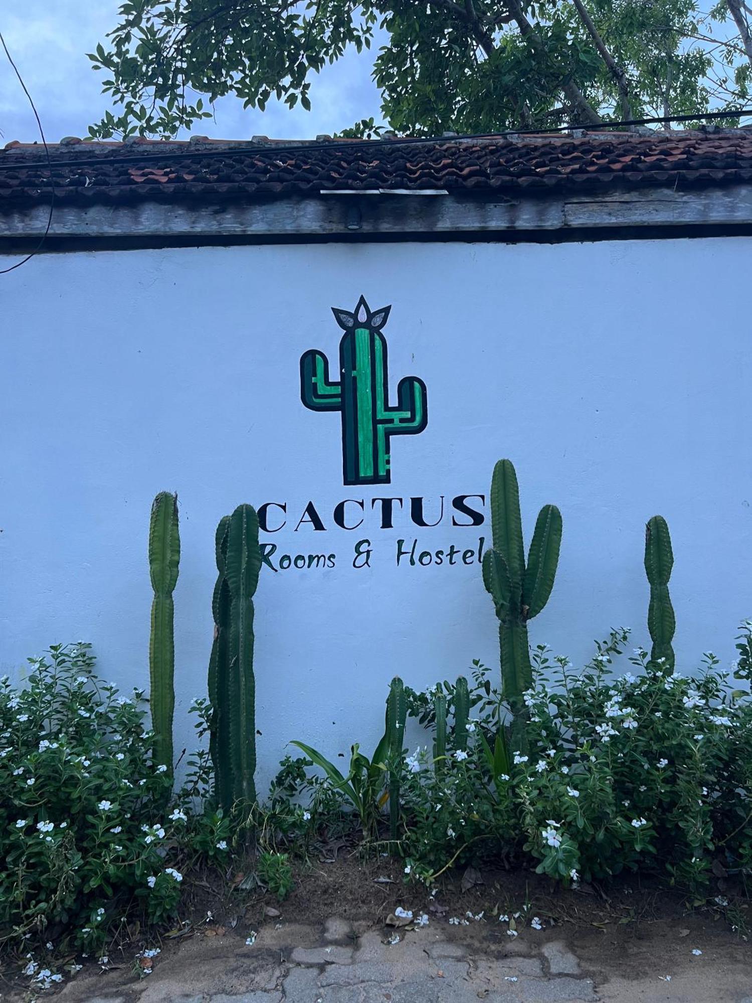 Cactus Arugambay Vandrerhjem Arugam Kudah Eksteriør bilde
